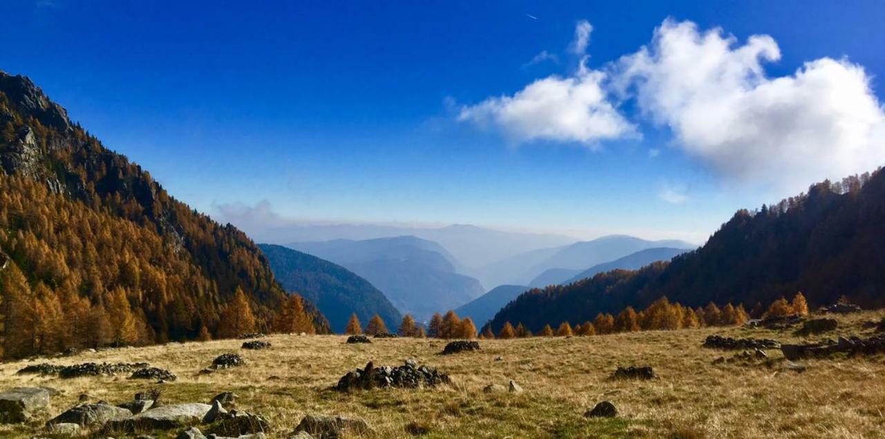 Taxus Hostel Pieve Tesino Екстериор снимка