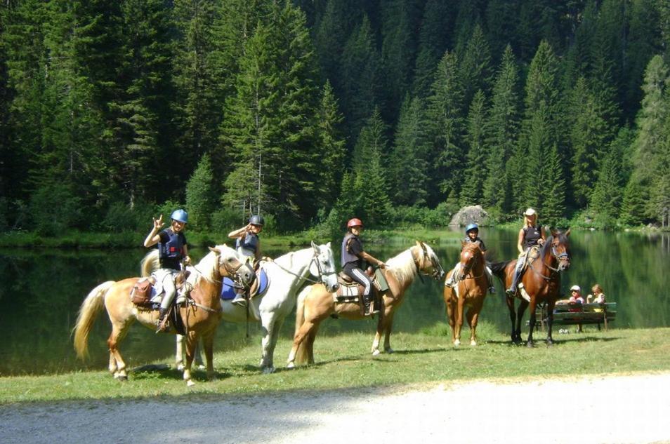 Taxus Hostel Pieve Tesino Екстериор снимка
